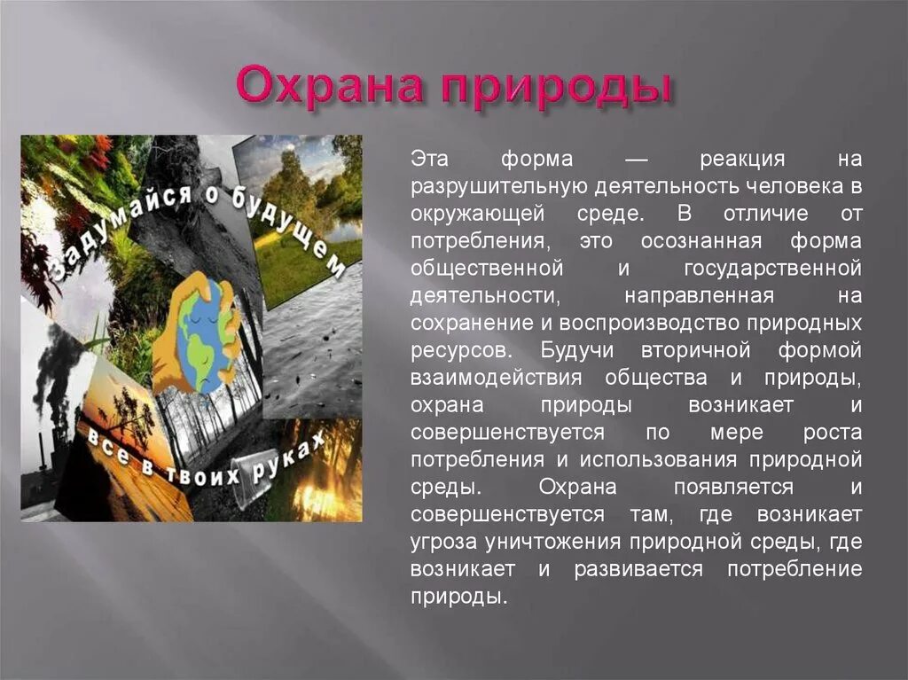 Охрана природы направлена. Сообщение об охране природы. Охрана природы доклад. Доклад о защите природы. Доклад по охране природы.