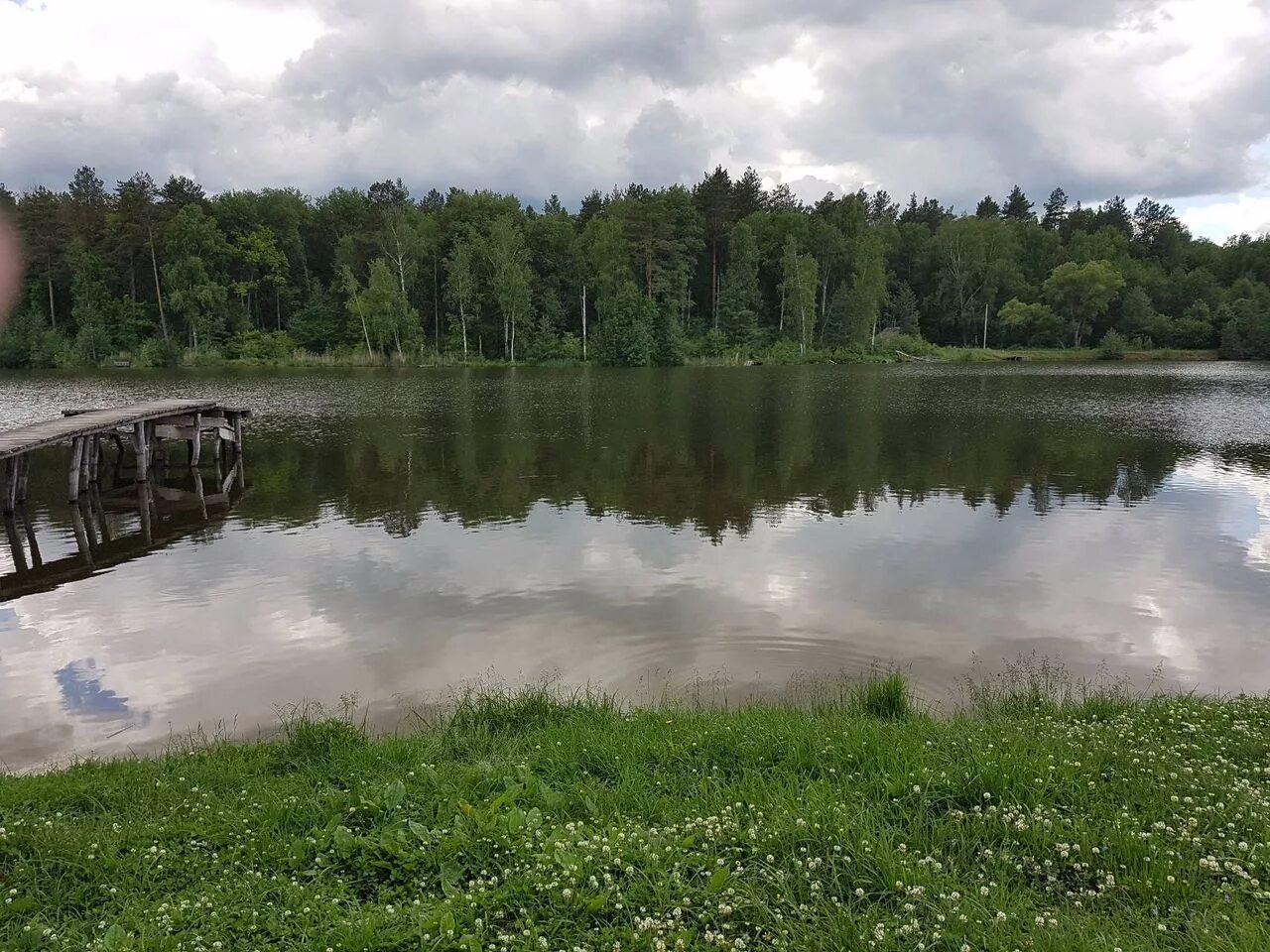 Платная рыбалка в орловской области. Селькин пруд Орловская. Григоровский пруд Орловская область. База в Орле Селькин пруд. Золоторевский пруд.