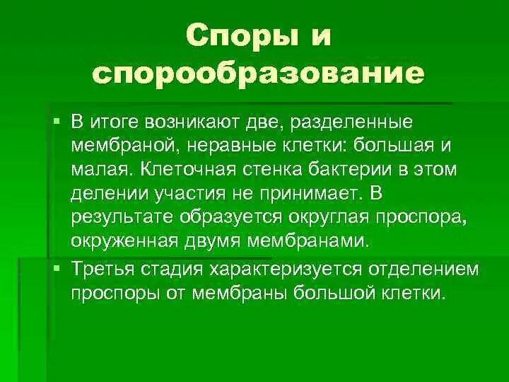 Что значит обнаружены споры