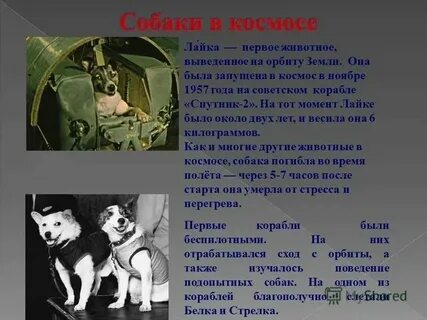 Когда она была запущена
