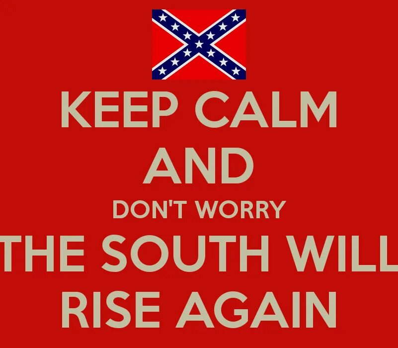 The South will Rise. Футболка South will Rise again. South Rise again. Will Rise again Конфедерация.