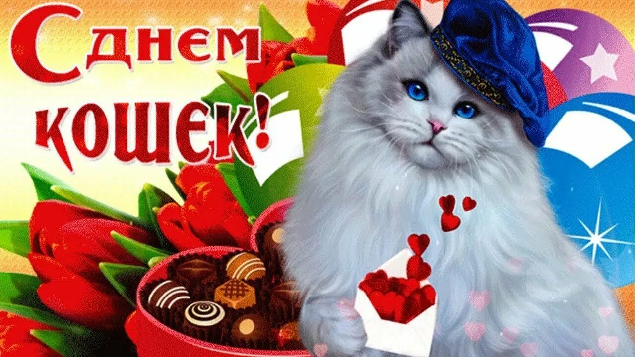 Всемирный день кошек поздравления. День кошек. День кошек открытки. Поздравление с днем кошек. Поздравление с днем кота в картинках.