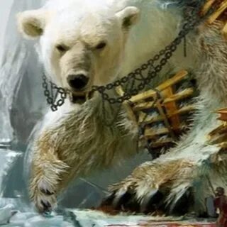 Как спасти всех золотых медведей