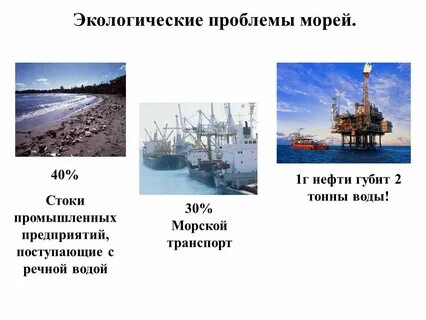 Проблемы белого моря