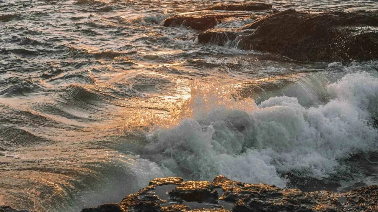 Wave 34