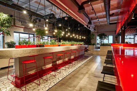 Coffee-Pizza-Bar "Red Rabbit" .