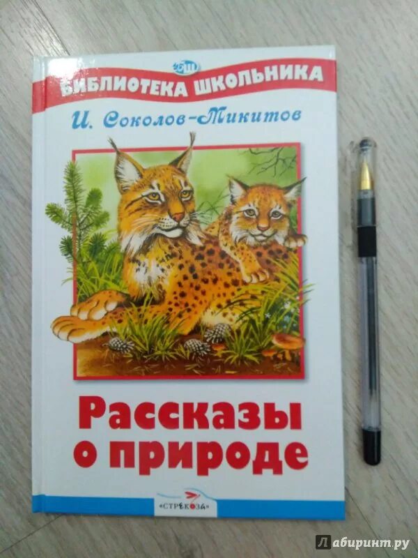 Микитов рассказы о природе. Иван соколов микитов рассказы о природе. книга русские сказки о природе соколов микитов. соколов-микитов рассказы. соколов-микитов рассказы о природе книга.