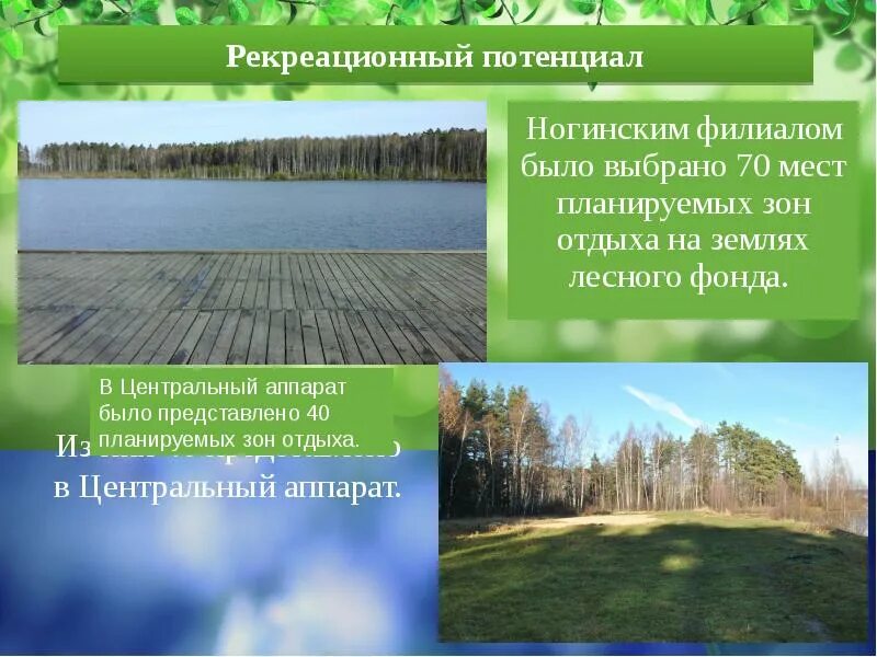 Содержание рекреации
