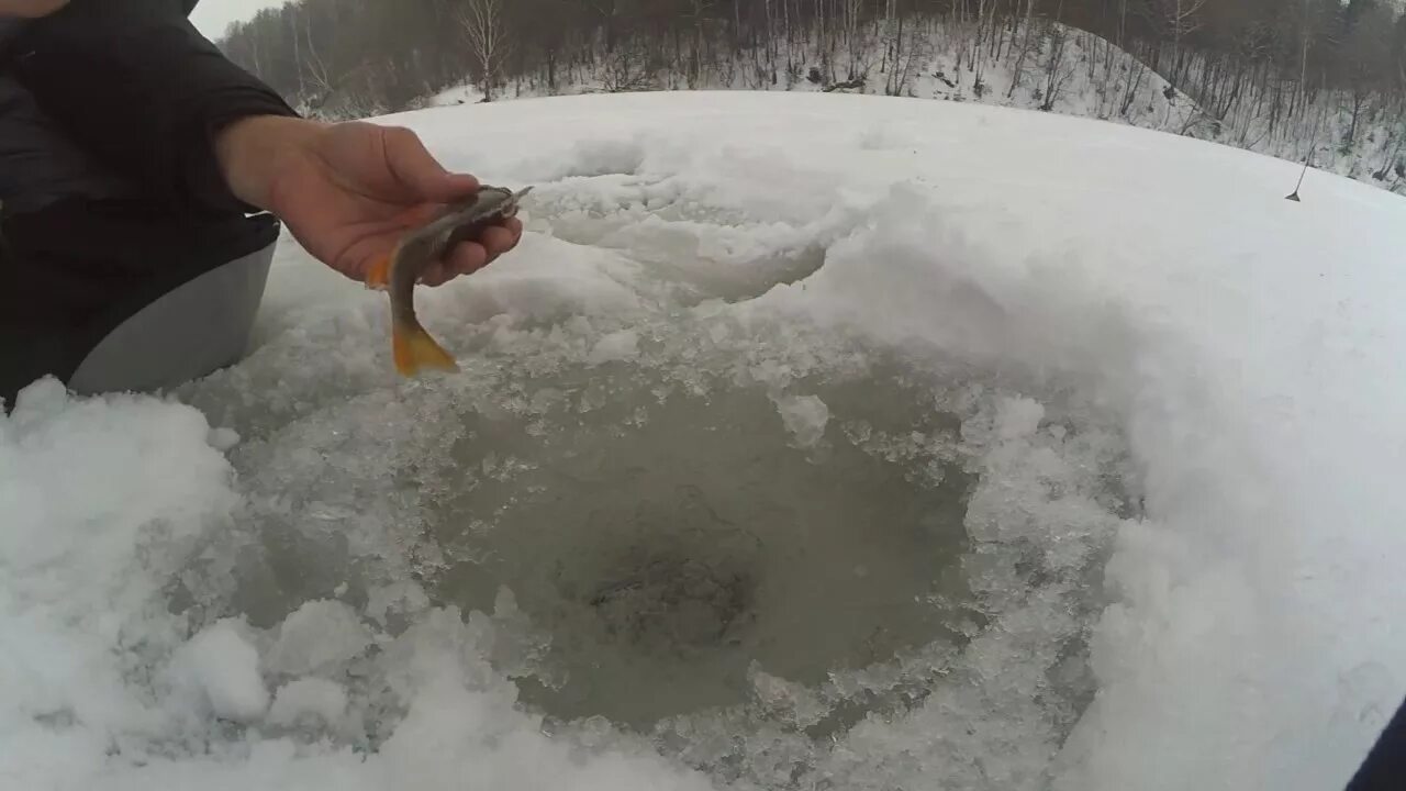 Ловля со льда видео. Ловля на кольцо зимой со льда. Мормышка для ловли ротана зимой. Зимняя рыбалка в Кольчугино. Ловля зимой на силикон со льда.