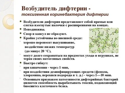 Биологические свойства возбудителей