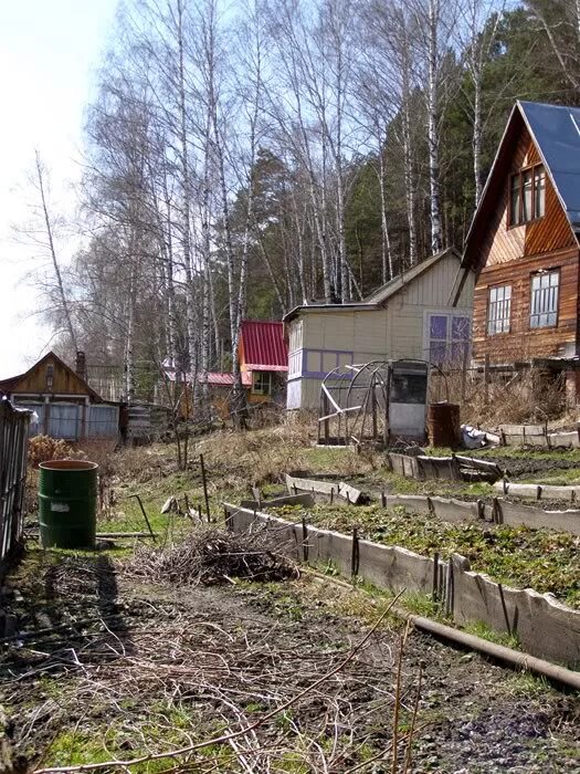 pic.tvoysad.ru - Дача 011