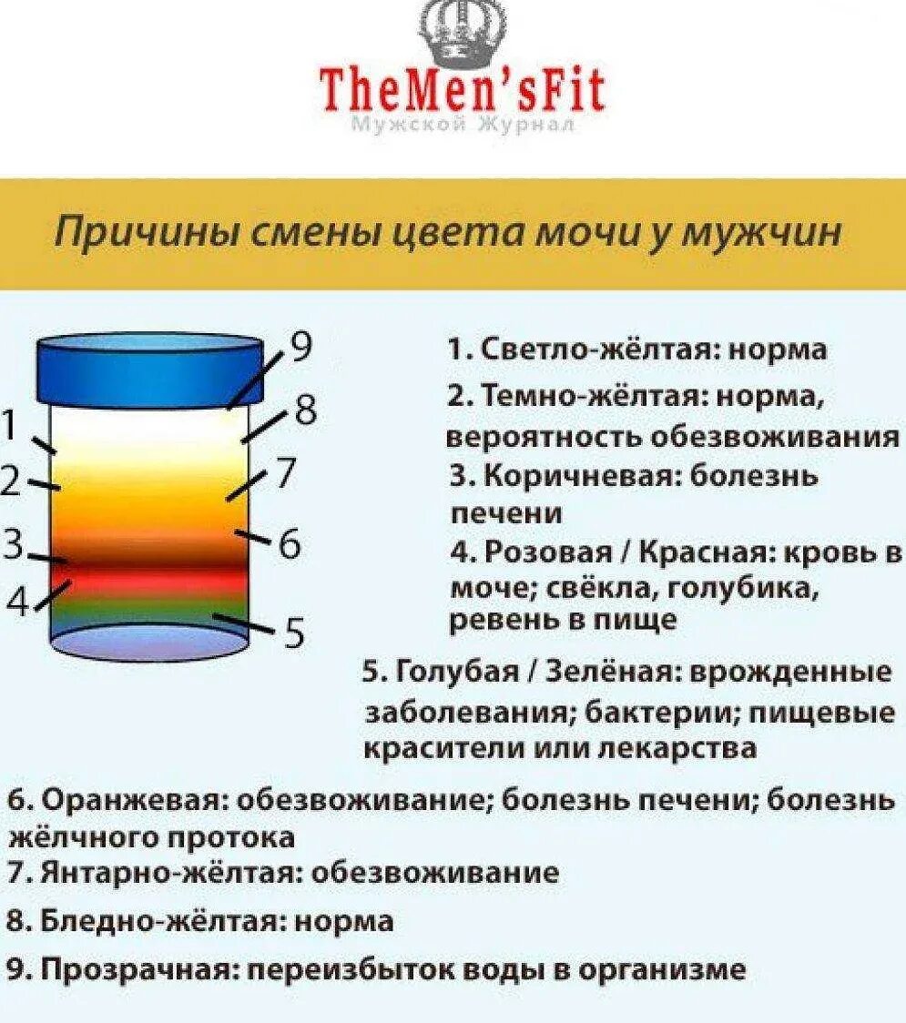 Темная моча у женщин