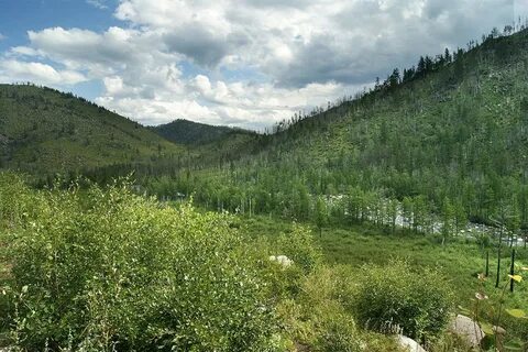 Сохондинский заповедник забайкальского края