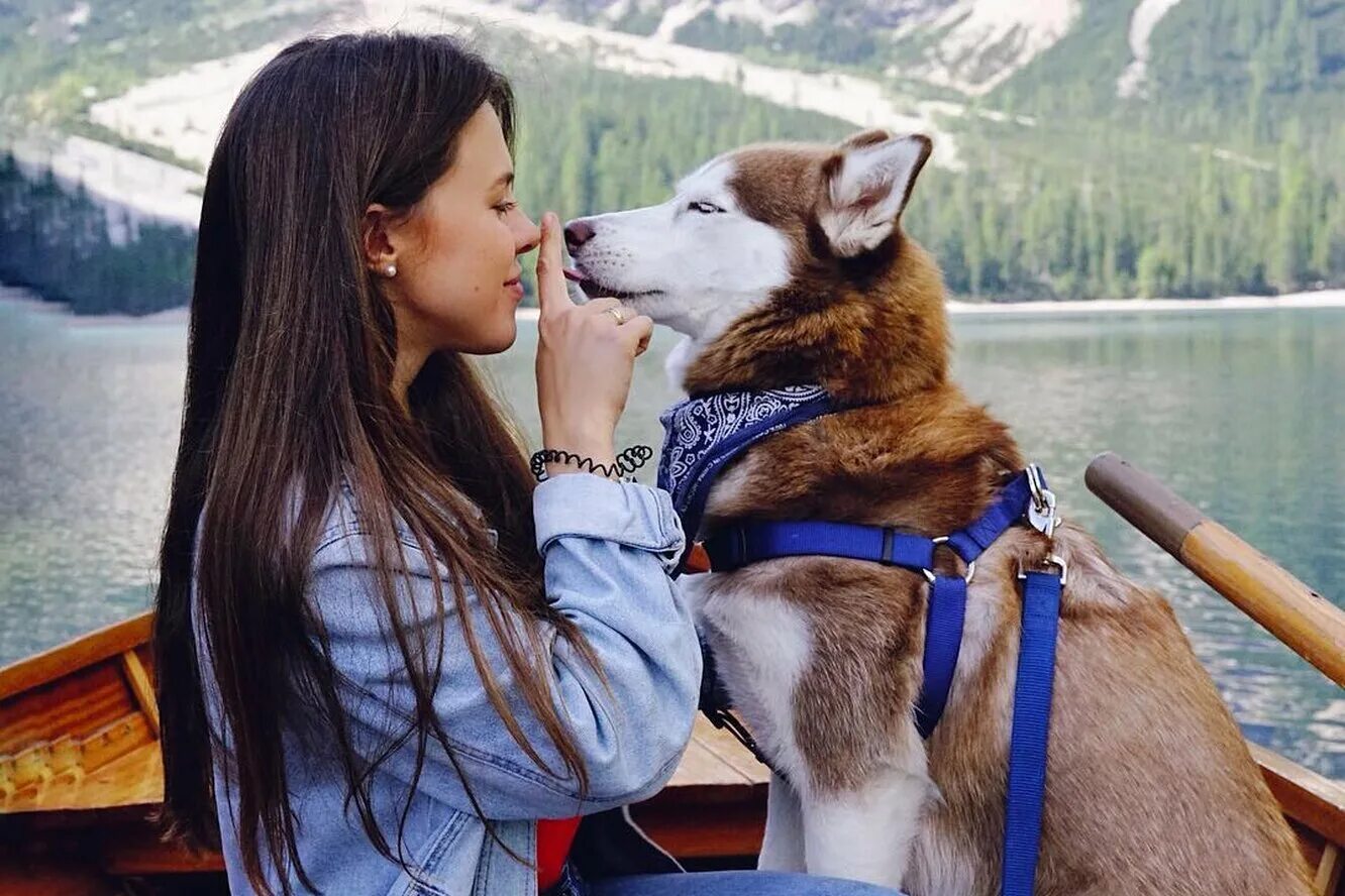 Девушка путешествует с собакой. Автодом с собакой. Девушка путешествует с собакой. Собака путешественник. Поход с собакой.