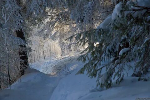Февраль пермский край