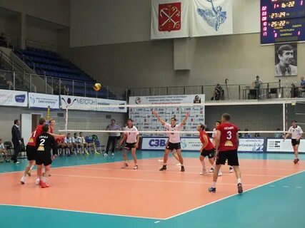 Академия волейбола