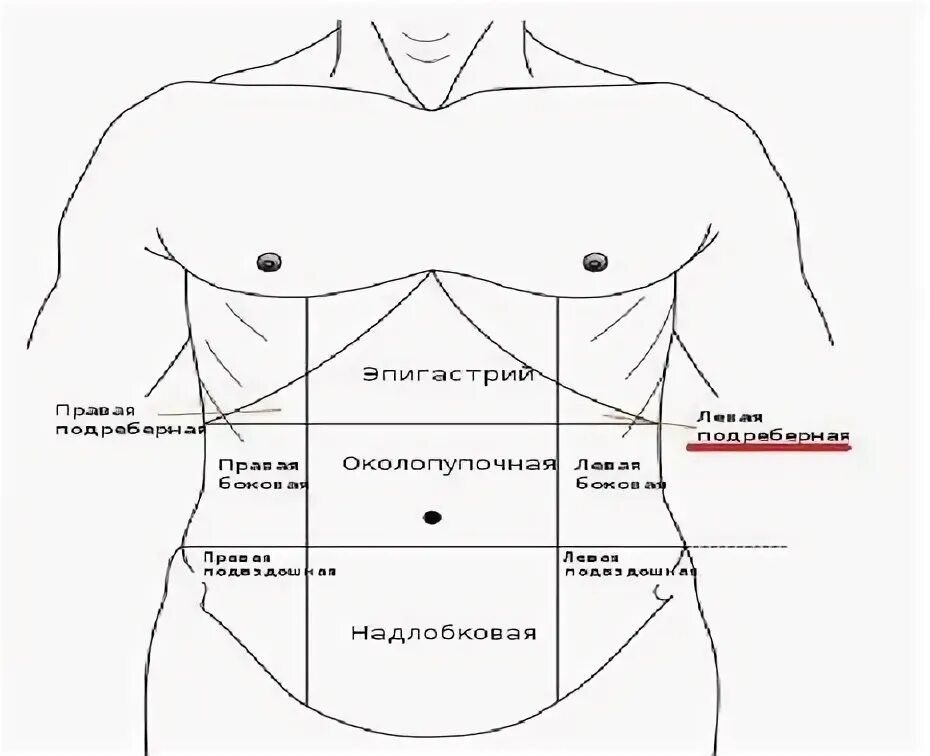 Какие органы в левом подреберье. Что находится спереди под ребрами. Что находится с левой стороны под ребрами спереди. Колит с правой стороны под ребрами спереди. Что у человека под левым ребром спереди.