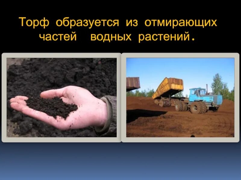 Торф образуется из. Торф образуется отмерших частей растений. как образуется торф. отмирая, образуют торфяные залежи. торф это отмершие.