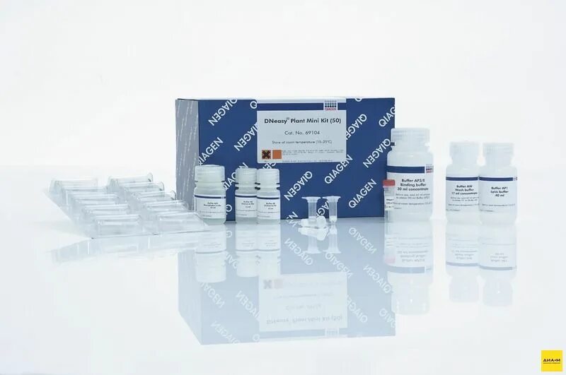Амплипрайм. Qiagen plant mini kit. набор реагентов для днк ампли прайм. qiaamp viral rna mini kit. амплипрайм рибо сорб.