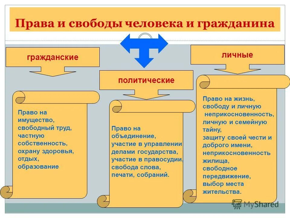 Политические личные отношения. Свободы человека и гражданина.