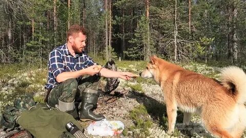 На таежных тропах