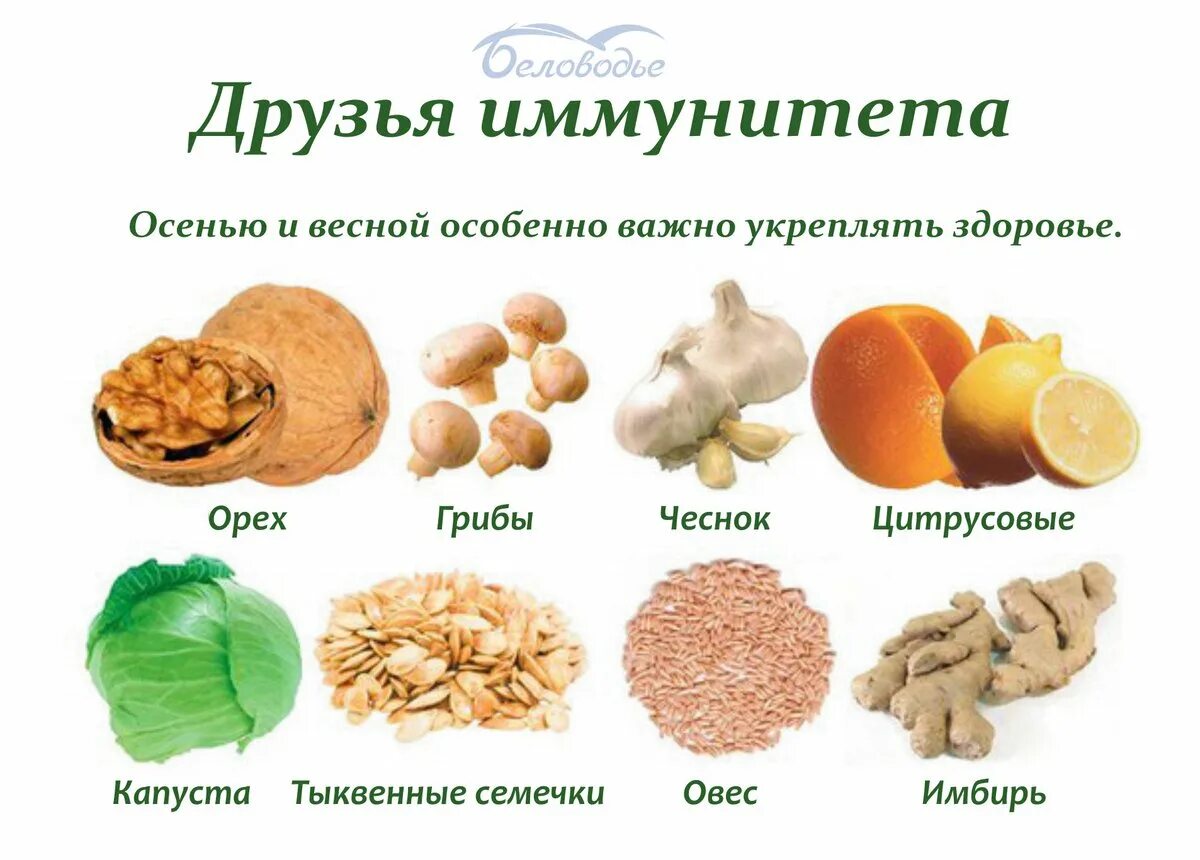 Иммунное питание. Продукты для иммунитета. Продукты для повышения иммунитета. Продуктв для паышения иммунитет. Продукты повышающие иммунитет.