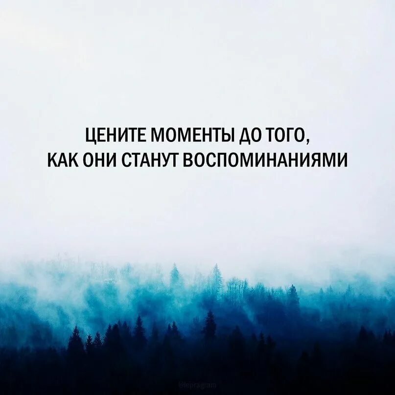 Живи и помни цитаты. Высказывания о воспоминаниях. цитаты про воспоминания и моменты. воспоминания цитаты. цените моменты и людей цитаты.