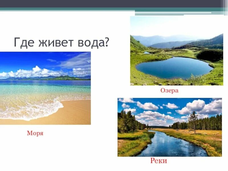 Реки озера моря. Река озеро море для детей. Где живет вода. Картинки где живет вода.