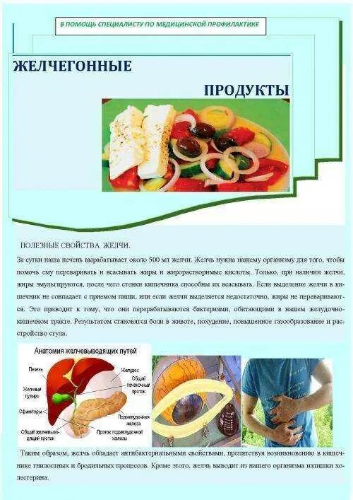 Желчегонные продукты питания. Желчегонные продукты питания при застое. Разрешенные продукты при застое желчи. Желчегонные продукты при застое желчи. Питание при застое желчного пузыря