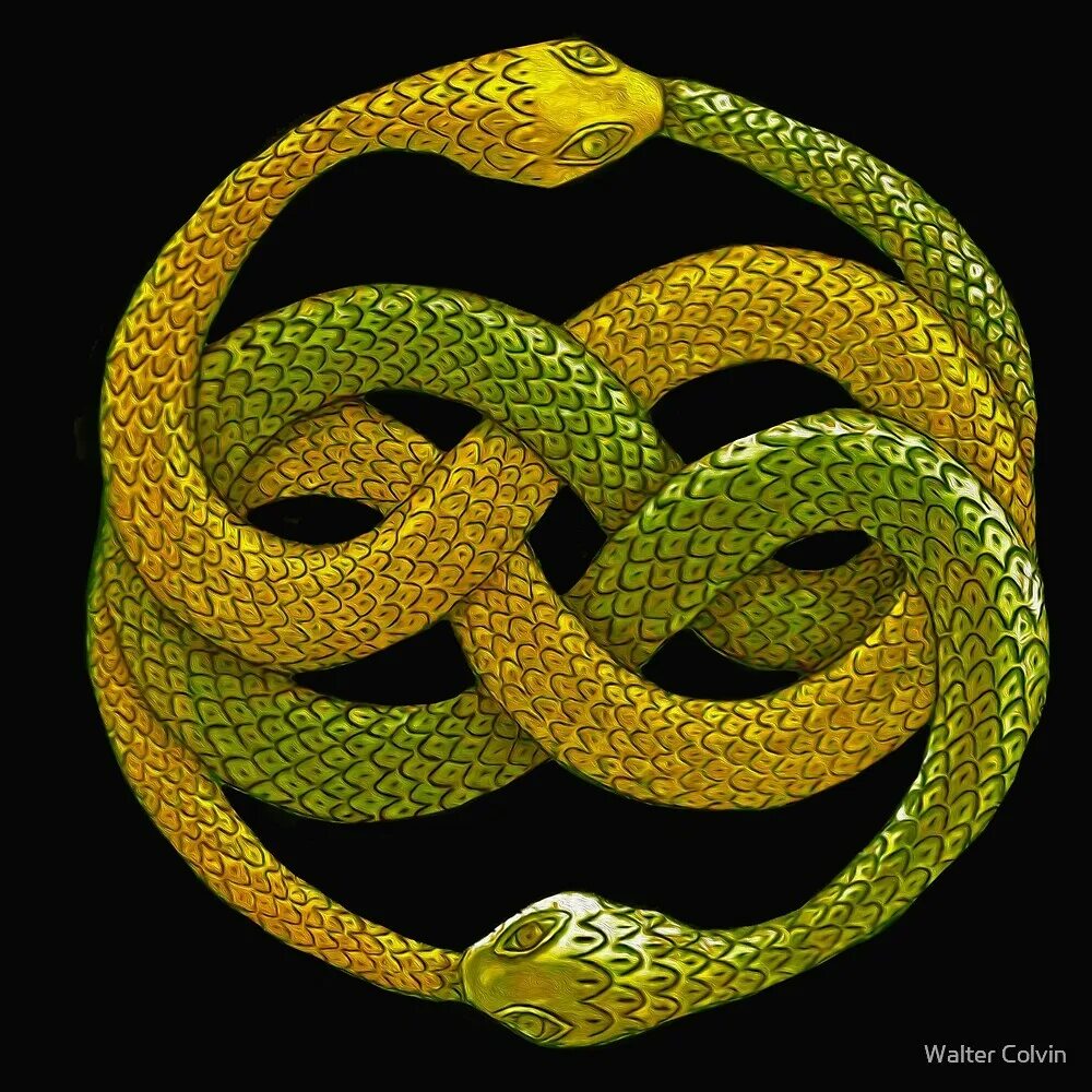 геральдическая змея. символизм картины. аурин уроборос. тотем змея. змея символизм.