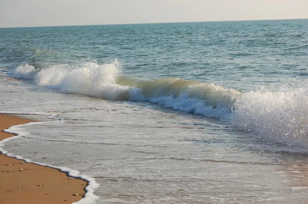 Каспийское море Дагестан. Берег Каспийского моря Дагестан. Ачису Дагестан. Пляж Ачису Дагестан. Тур отдых на каспийском море