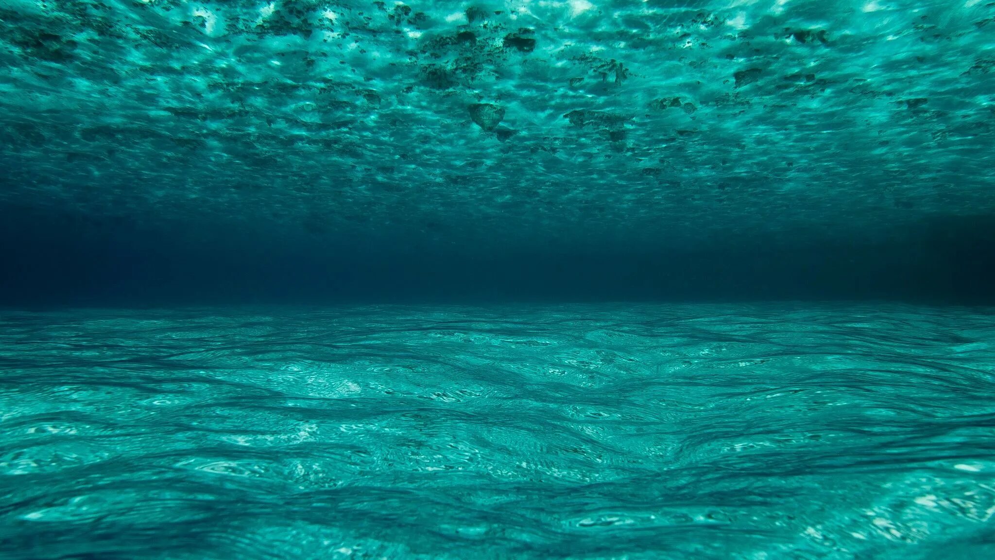 В глубь океана. Океан под водой. Море под водой. Дно океана.