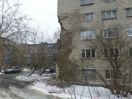 Кулибин воронеж