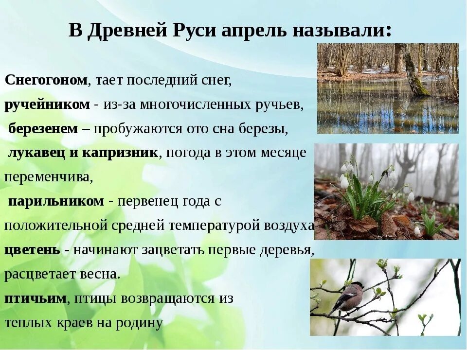 Месяц апрель это время. Приметы апреля народные. Апрель месяц весны. Приметы весны. Приметы весны для детей.