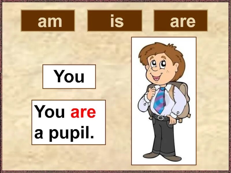 He to be a pupil. You ... A pupil. Are you a pupil ответить на вопрос. Are you a pupil ответ на английском. Are you a pupil перевод.