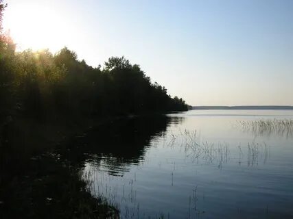 Лососинное петрозаводск
