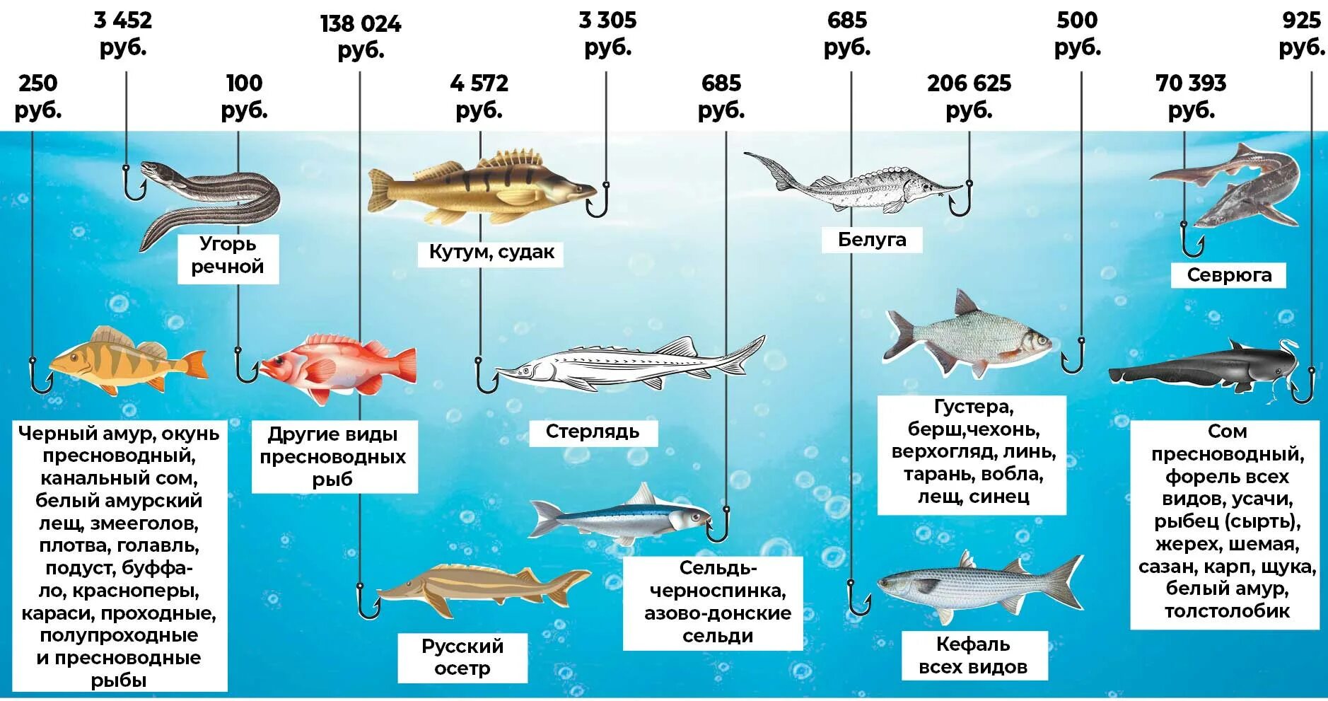 Сколько тонн рыбы