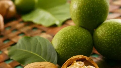 Ревиоронум с зеленым грецким орехом