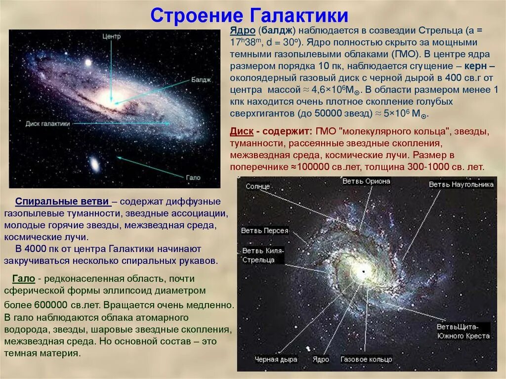 Как называется место скопления