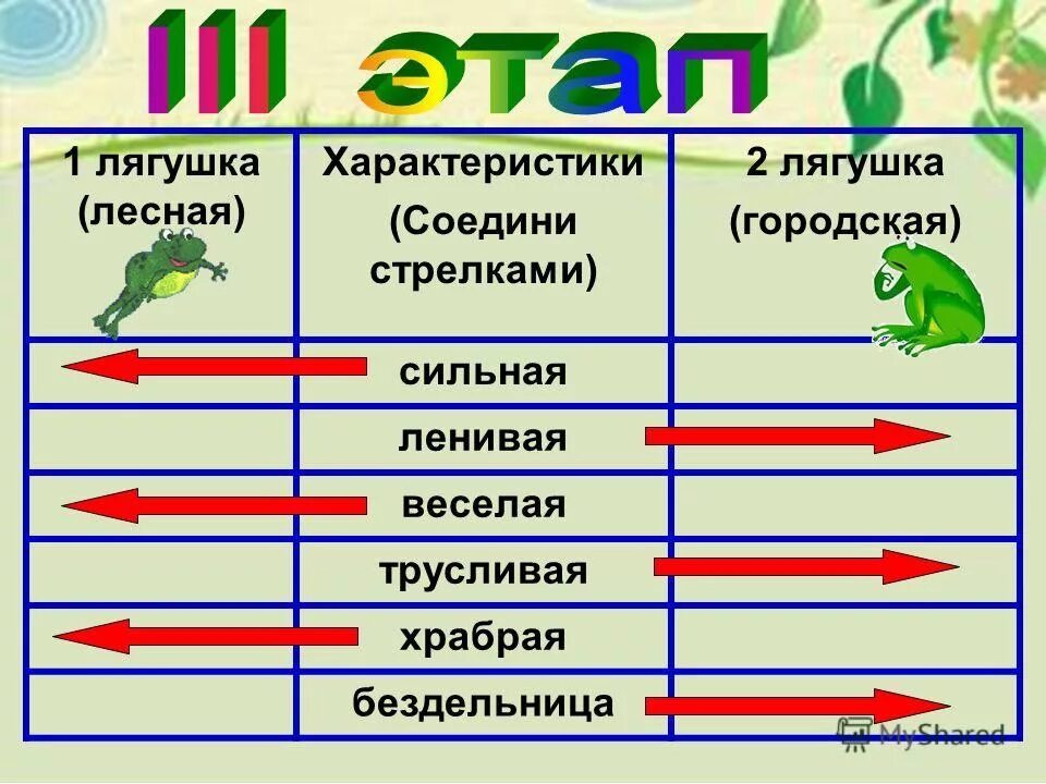 признаки прудовой лягушки. отделы тела прудовой лягушки.