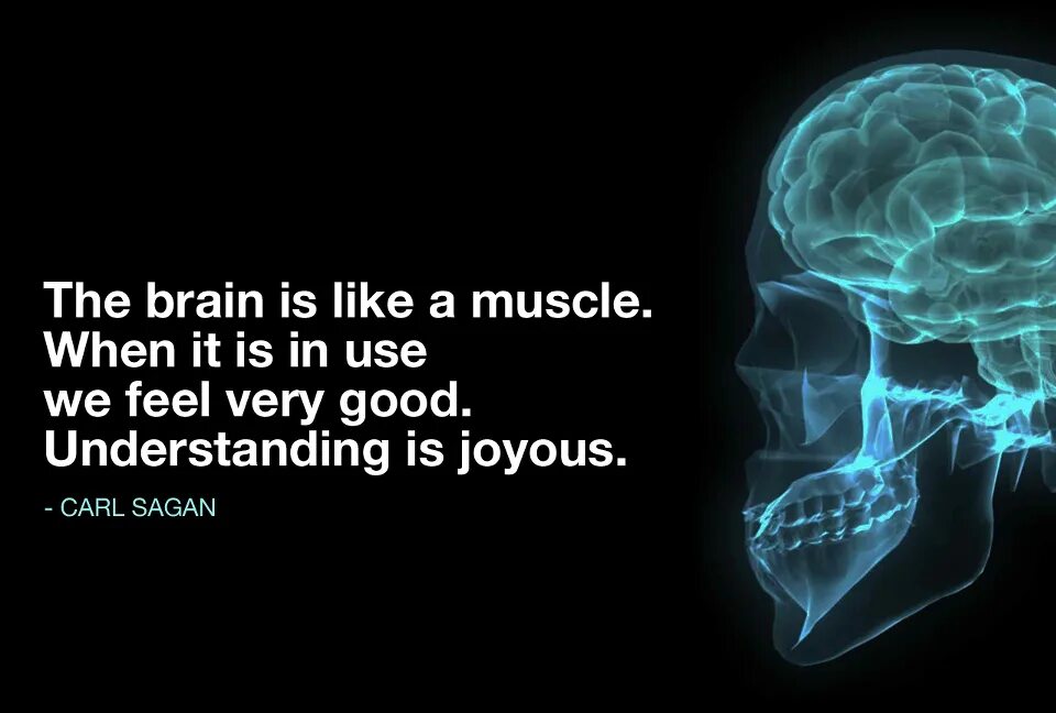 He is a brain. Мозг use it. Your Brain. На рабочий стол use Brain. Brain is like muscle.