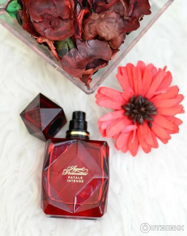Агент провокатор fatale intense. Agent provocateur intense. Агент провокатор фаталь интенс. Agent provocateur fatale w edp 100 ml. Agent provocateur fatale intense lady 30ml edp.