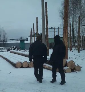 Уголовное дело лесничество