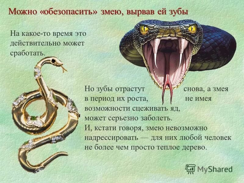 Что говорится змей