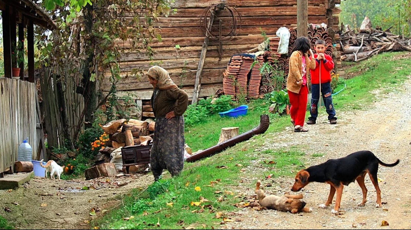 Переведи village. Village Life деревня город. Жизнь в деревне. Life in the Village. Жизнь села Джирима.