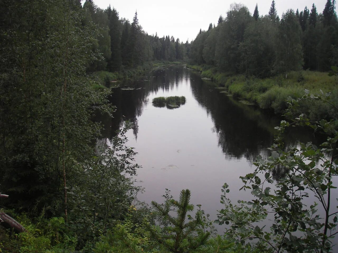 Река выя Качканар. Выя (приток Тагила). Река выя Свердловская область. Река выя Архангельская область Верхнетоемский район.
