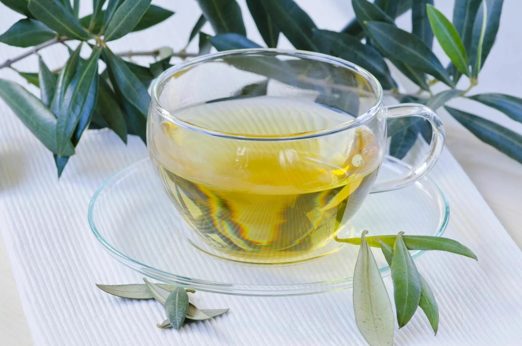 Olive Leaf Tea. Zeytin Yapraği чай. Зеленый чай. Оливковый чай.