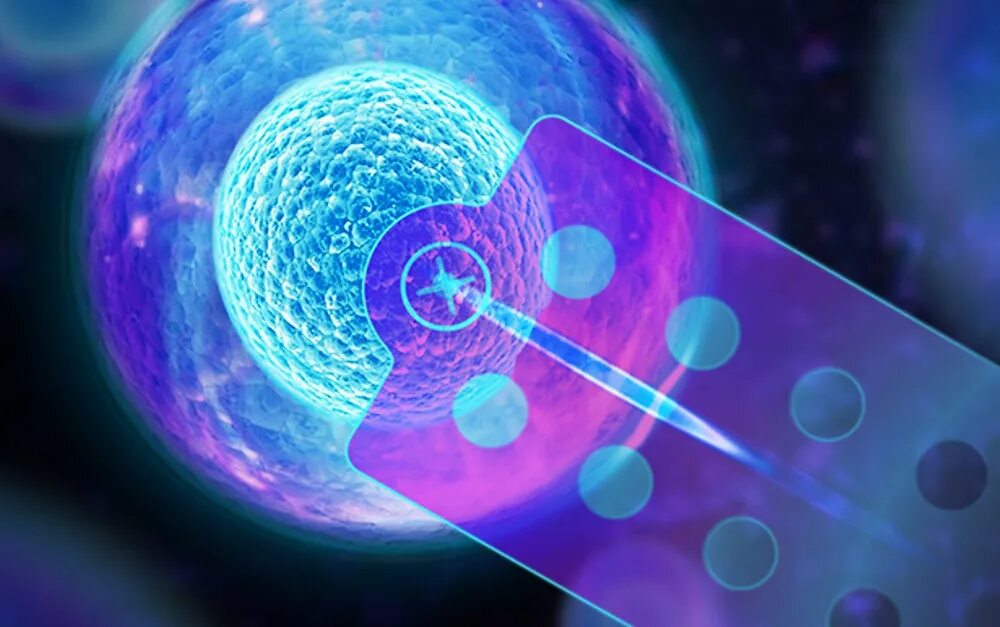 Cell analysis. Single cell. fluidfm.
