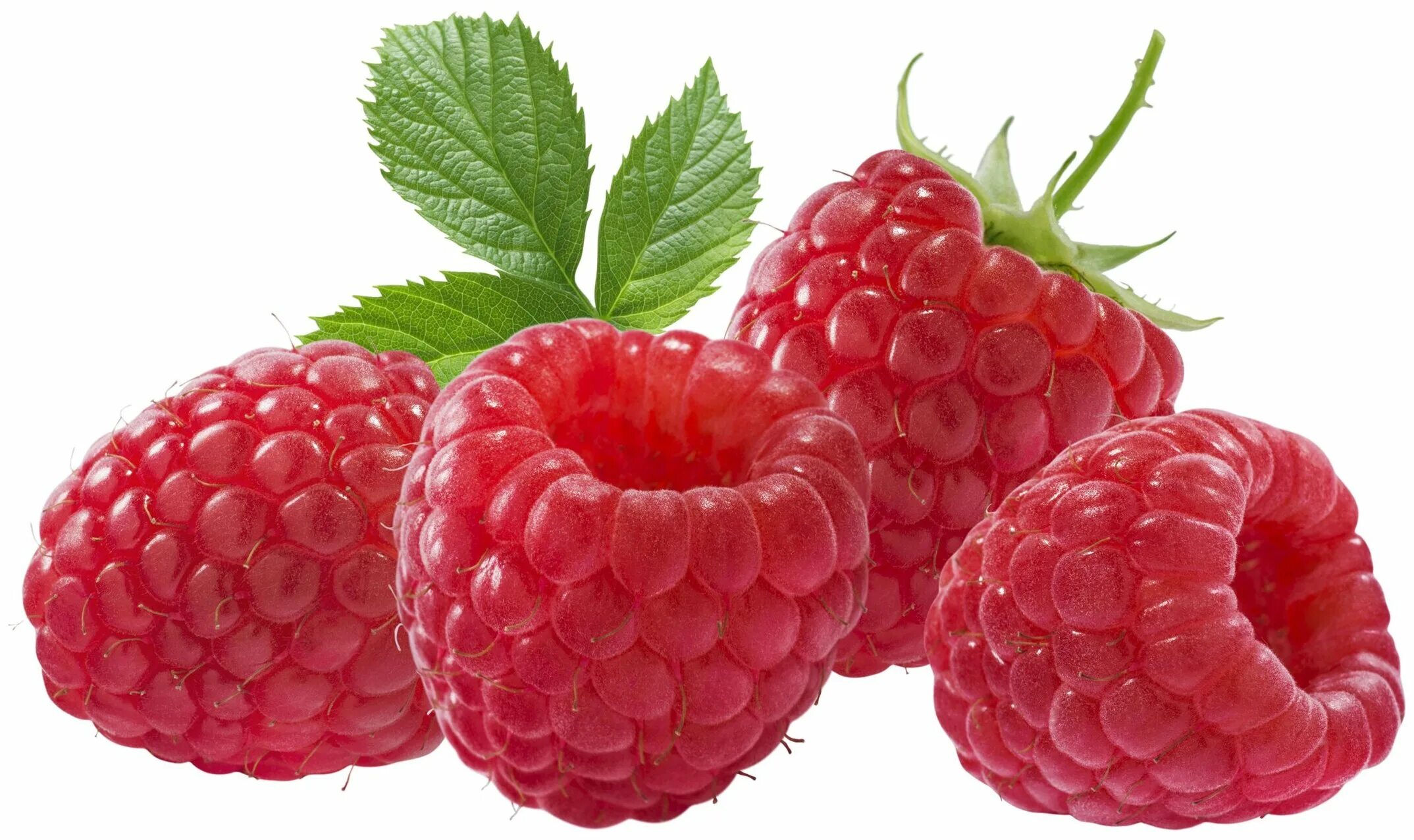 многокостянка малины. розовые ягоды. ягода малина без фона. ягода малинка без. ягода малинка без.