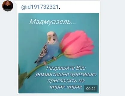 Позвольте разрешите